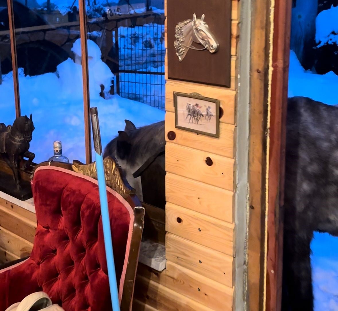 EV SAHİBİ GÖKHAN BİLEN'İN ATLARLA KURDUĞU, "HOŞ GELDİNİZ YA, BEN SİZİ GEÇEN GÜN DOYURMADIM MI?"...