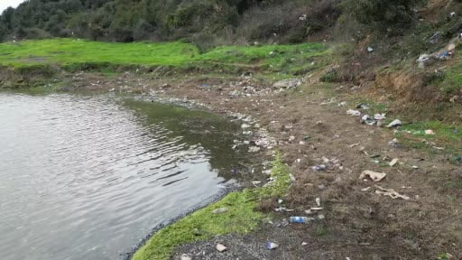 Eyüpsultan'da gölette yosun patlaması: Çok sayıda balık telef oldu