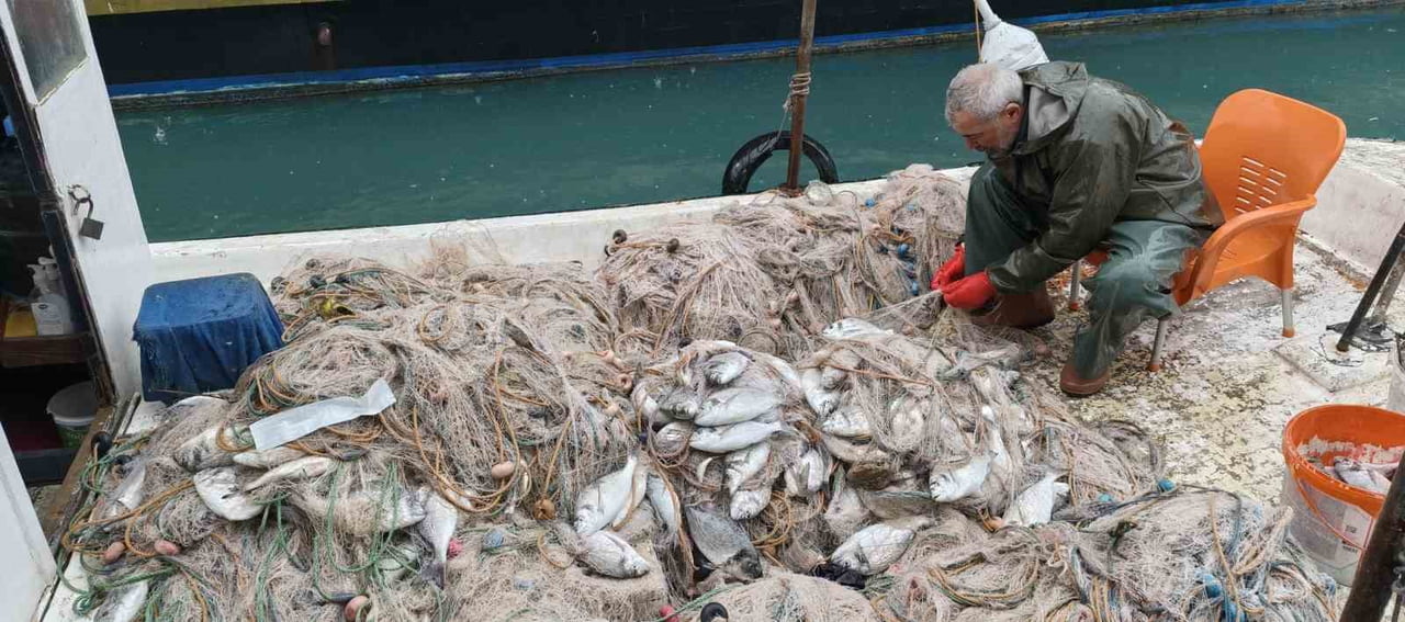 FIRTINA NEDENİYLE BALIK ÇİFTLİĞİNDE MEYDANA GELEN AĞ YIRTILMASI SONUCU ÇOK SAYIDA BALIK KIYIYA...