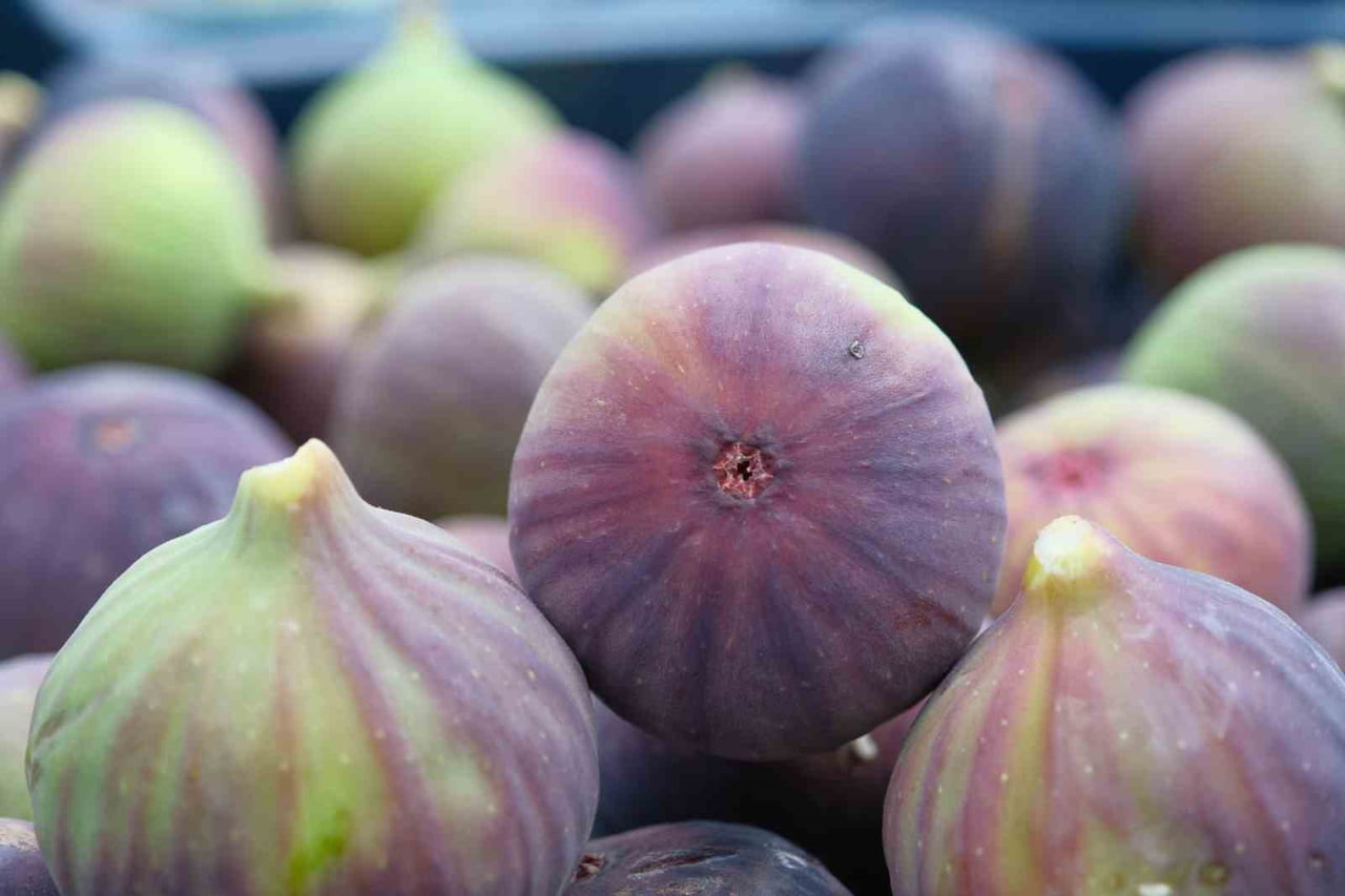 GEÇEN YIL YAŞANAN ZİRAİ DON VE KURAKLIK GİBİ OLUMSUZLUKLARA RAĞMEN BURSA SİYAH İNCİRİNDE İHRACAT...