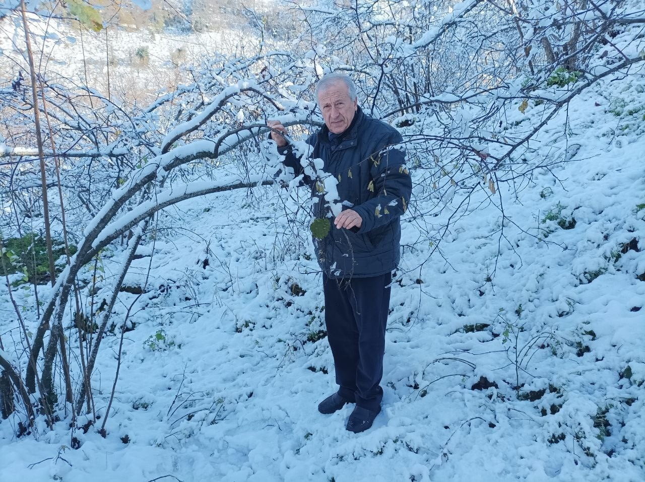 GİRESUNLU FINDIK ÜRETİCİSİ NİHAT ÖZTÜRK, MEVSİMİNDE YAĞAN KARIN FINDIK İÇİN BÜYÜK ÖNEM TAŞIDIĞINA...