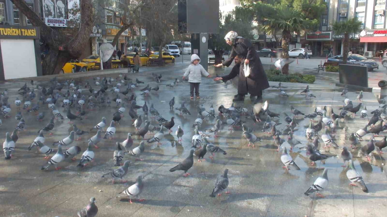 GÜVERCİNLERE YEM ATTILAR