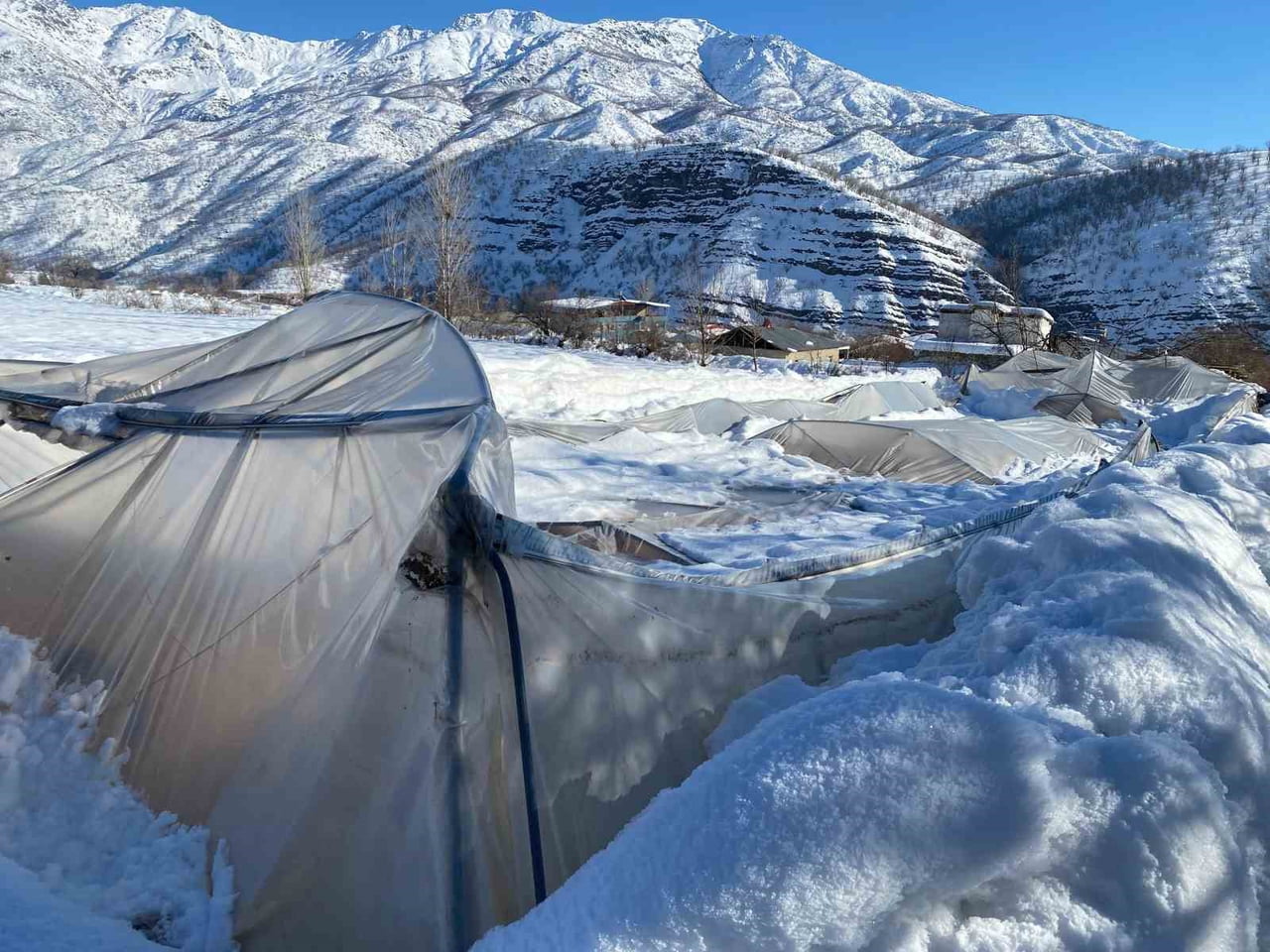 HAKKARİ'NİN DERECİK İLÇESİNDE GEÇEN HAFTA ETKİLİ YOĞUN KAR YAĞIŞI NEDENİYLE 38 SERA ZARA...