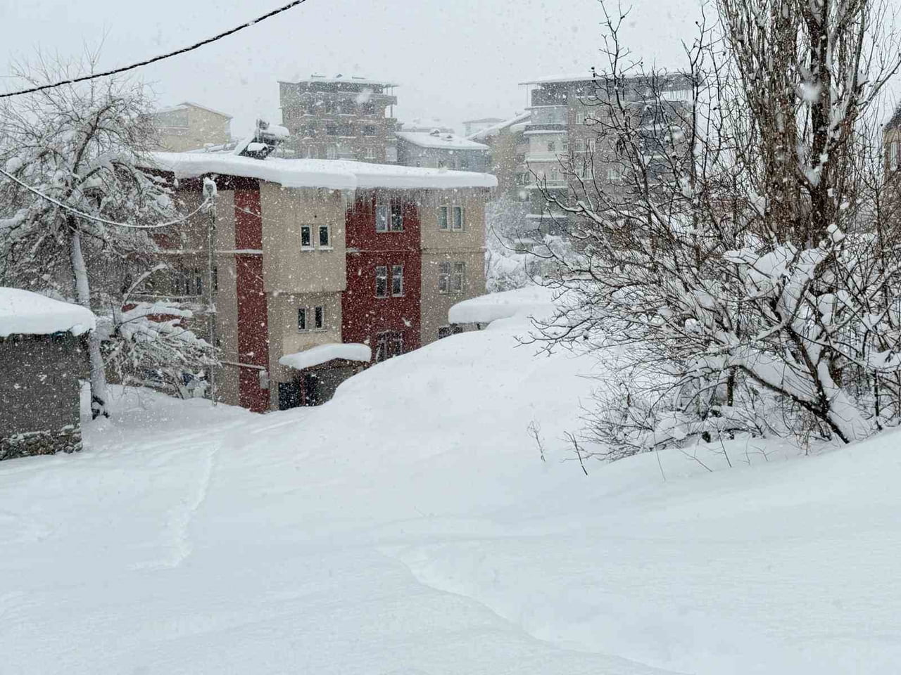 HAKKARİ’DE ETKİLİ OLAN YOĞUN KAR YAĞIŞI HAYATI OLUMSUZ ETKİLEDİ. İL GENELİNDE 357 YERLEŞİM YERİNİN...