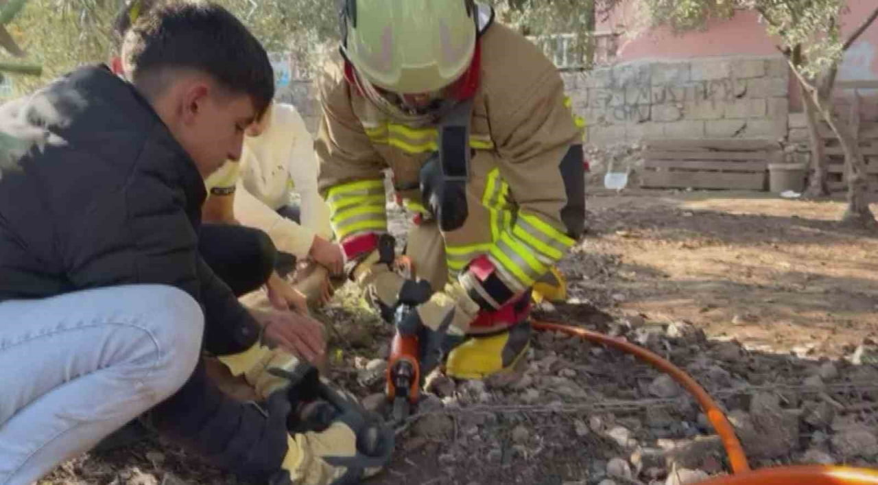 HATAY’DA PATİSİ ZİNCİRE SIKIŞAN KÖPEĞİN YARDIMINA İTFAİYE YETİŞTİ.