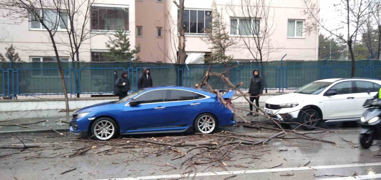 ISPARTA’DA AKŞAM SAATLERİNDE ETKİSİNİ ARTIRAN ŞİDDETLİ FIRTINA VE KUVVETLİ RÜZGAR, AĞAÇLARIN...