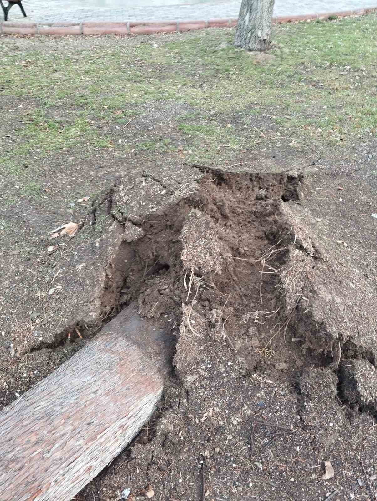 ISPARTA’DA ETKİSİNİ ARTIRAN FIRTINA, BİR AĞACI KÖKÜNDEN SÖKEREK PARK HALİNDEKİ ARACIN ÜZERİNE...