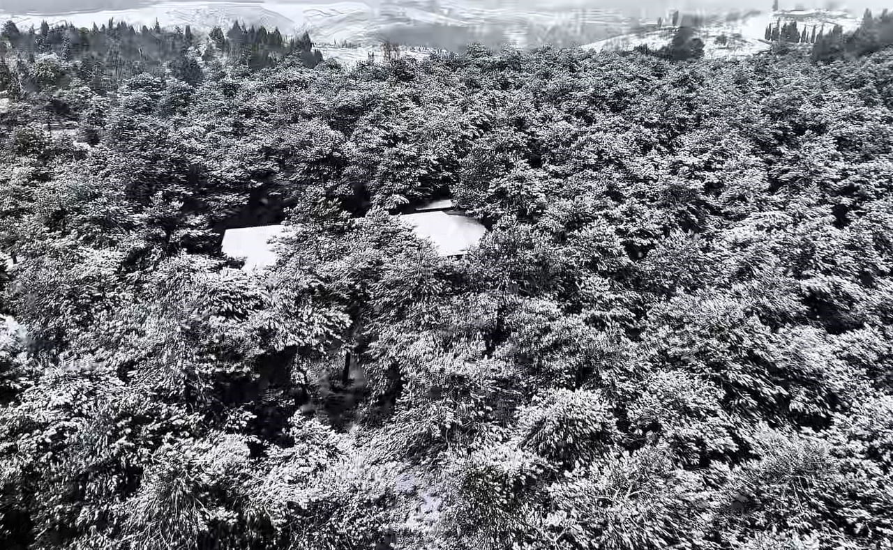 İSTANBUL ETKİLİ OLAN KAR YAĞIŞIYLA BAŞAKŞEHİR’DE BULUNAN ŞAMLAR TABİKAT PARKI BEYAZA BÜRÜNDÜ....