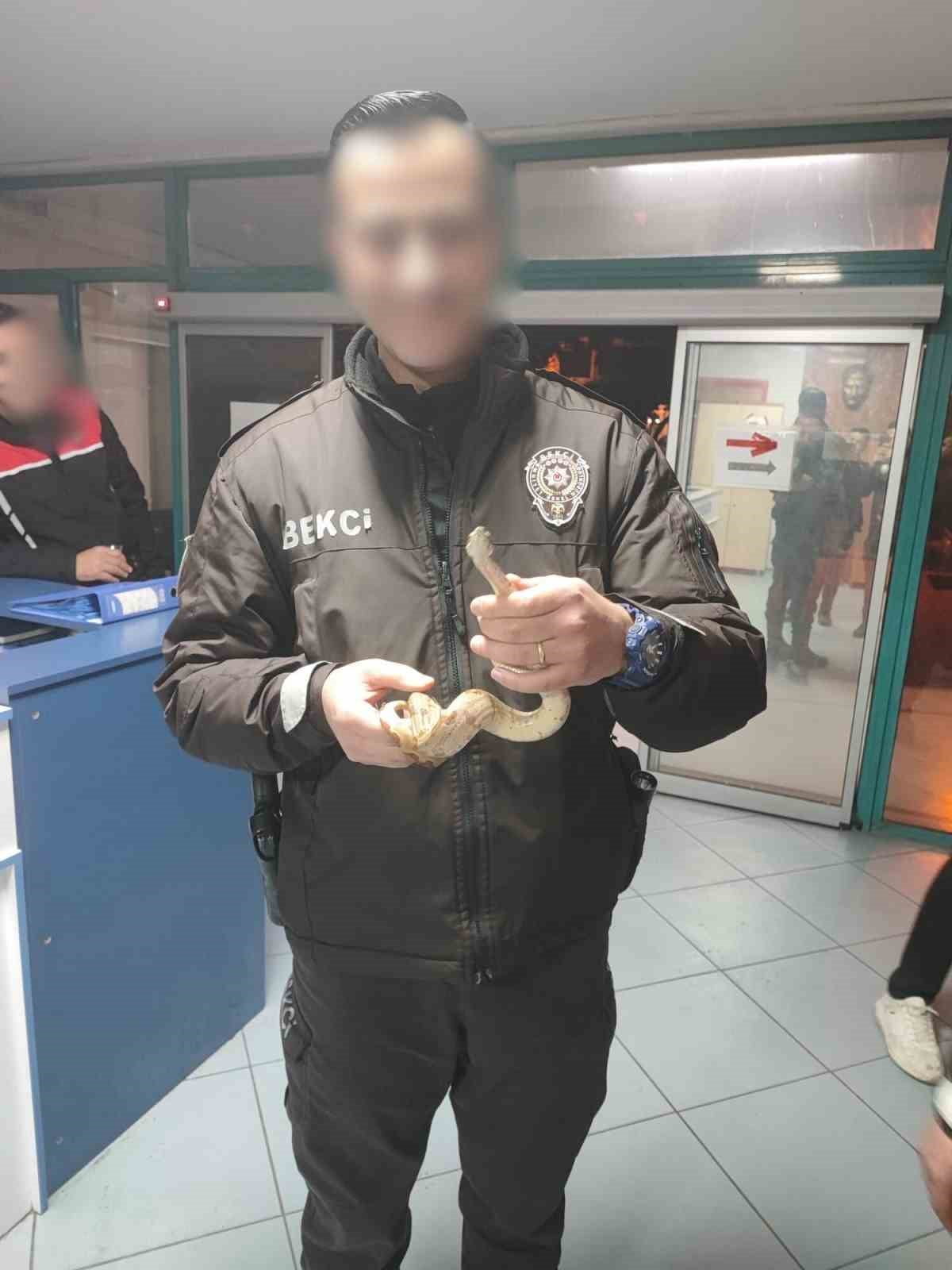 İZMİR'İN KARŞIYAKA İLÇESİNDE BİR KAFEDE ELİNDE YILANLA DOLAŞAN ŞAHIS, POLİS VE BEKÇİ EKİPLERİNİN...