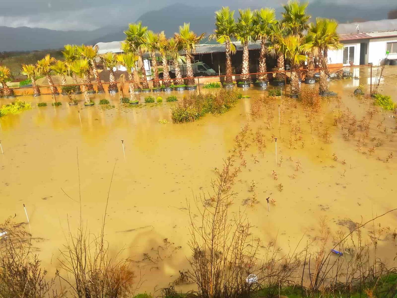 İZMİR’DE SAĞANAK YAĞIŞ HAYATI OLUMSUZ ETKİLİYOR. MENDERES İLÇESİ AHMETBEYLİ MAHALLESİ'NDE CADDE VE...