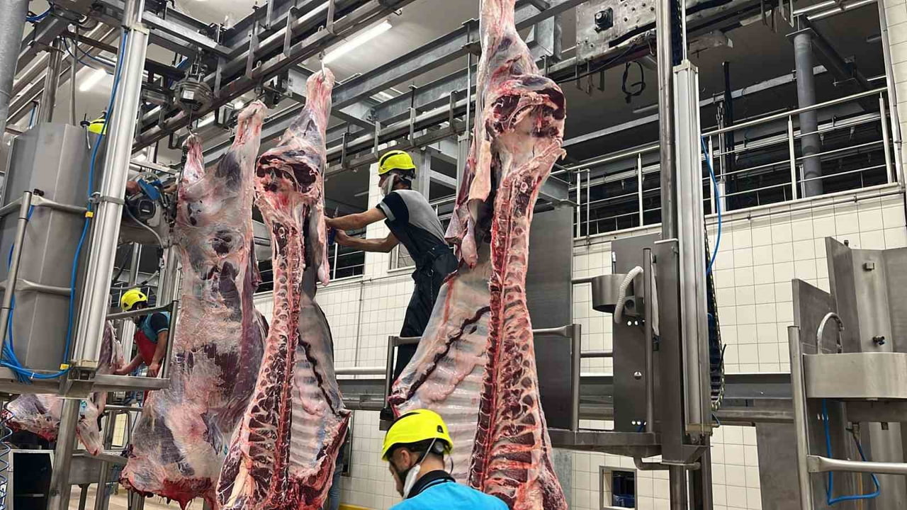 İZMİT MEZBAHASI’NDA 2025 YILINDA KÜÇÜKBAŞ VE BÜYÜKBAŞ OLMAK ÜZERE 6 BİN 29 HAYVAN KESİLİRKEN, ELDE...