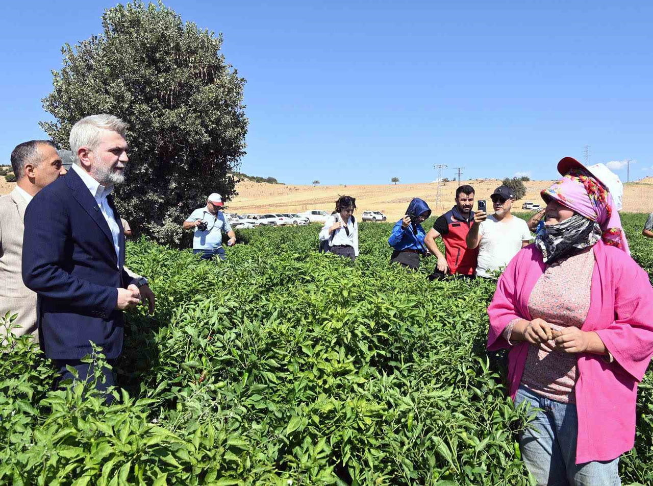KAHRAMANMARAŞ BÜYÜKŞEHİR BELEDİYESİ, FİDAN DESTEKLERİNDEN SULAMA BORULARINA, SULAMA TESİSLERİNDEN...