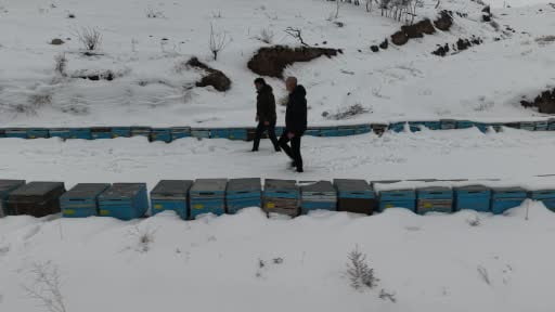 Kar yağışı, koloni kayıplarını ve hastalıkları minimuma indirdi: Arıcılar sezonundan...