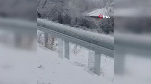 Kar yağışı sonrası karacalar sürü halinde görüntülendi