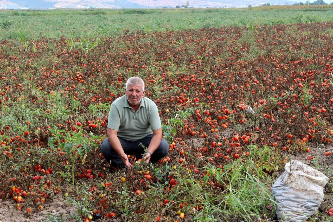 KARACABEY ZİRAAT ODASI İKİNCİ BAŞKANI RAMAZAN DÜZEN, YAPTIĞI BASIN AÇIKLAMASIYLA BURSA VE ÜLKE...