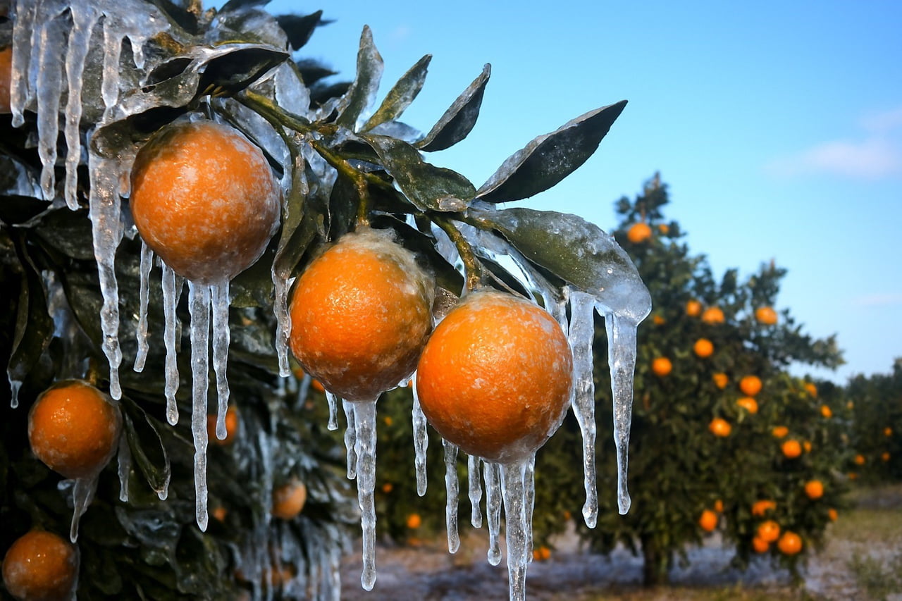 KARADENİZ ÜZERİNDEN GELEN SOĞUK HAVA DALGASI NEDENİYLE ADANA’DA METEOROLOJİ VERİLERİNE GÖRE 18-22...