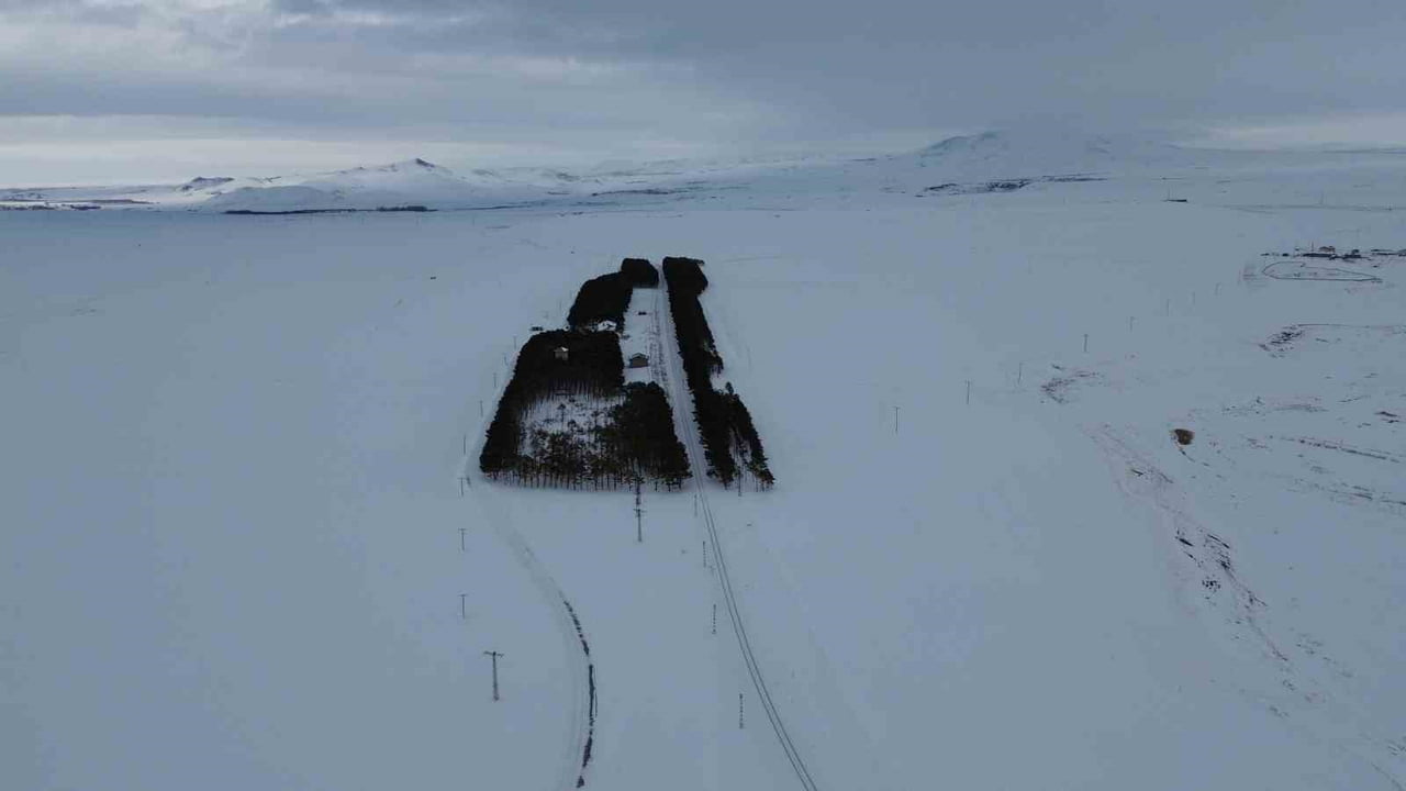 KARS’TA TARİHİ İSTASYONDA 20 BİN ÇAMLIK KIŞ MASALI BÜYÜLÜYOR(IŞIK ÇAPANOĞLU/KARS-İHA)