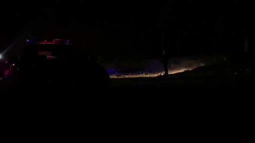 Kayıp olarak aranan şahıs ormanda ölü bulundu