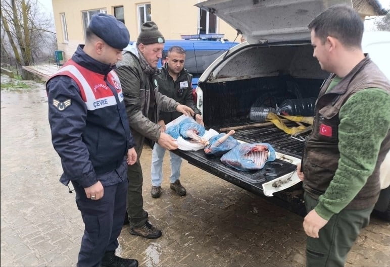 KIRKLARELİ’DE YASA DIŞI KARACA AVLADIĞI BELİRLENEN BİR KİŞİYE 50 BİN 943 LİRA İDARİ PARA CEZASI...