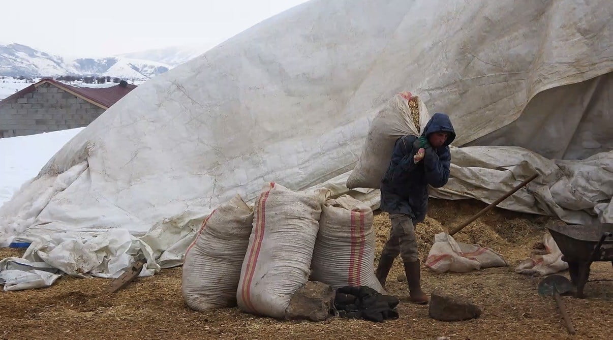KIYIDÜZÜ KÖYÜ'NDE HAYVANCILIKLA UĞRAŞAN KÖY SAKİNLERİ, YAZ AYLARINI YAYLALARDA GEÇİREN KÜÇÜKBAŞ...