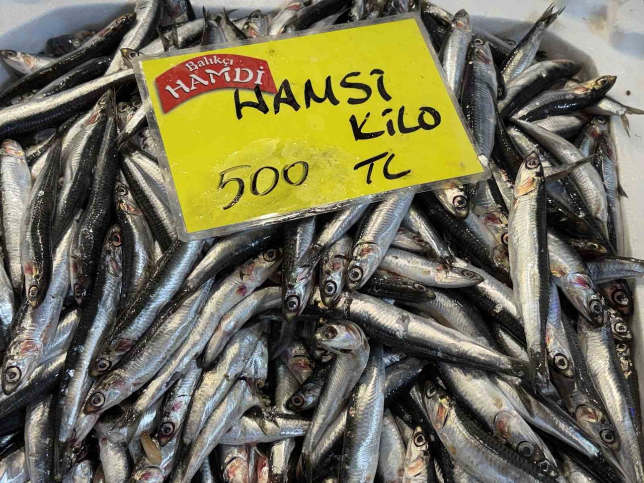 KOCAELİ'DEKİ TEZGAHLARDA BALIK MİKTARI AZALDI.