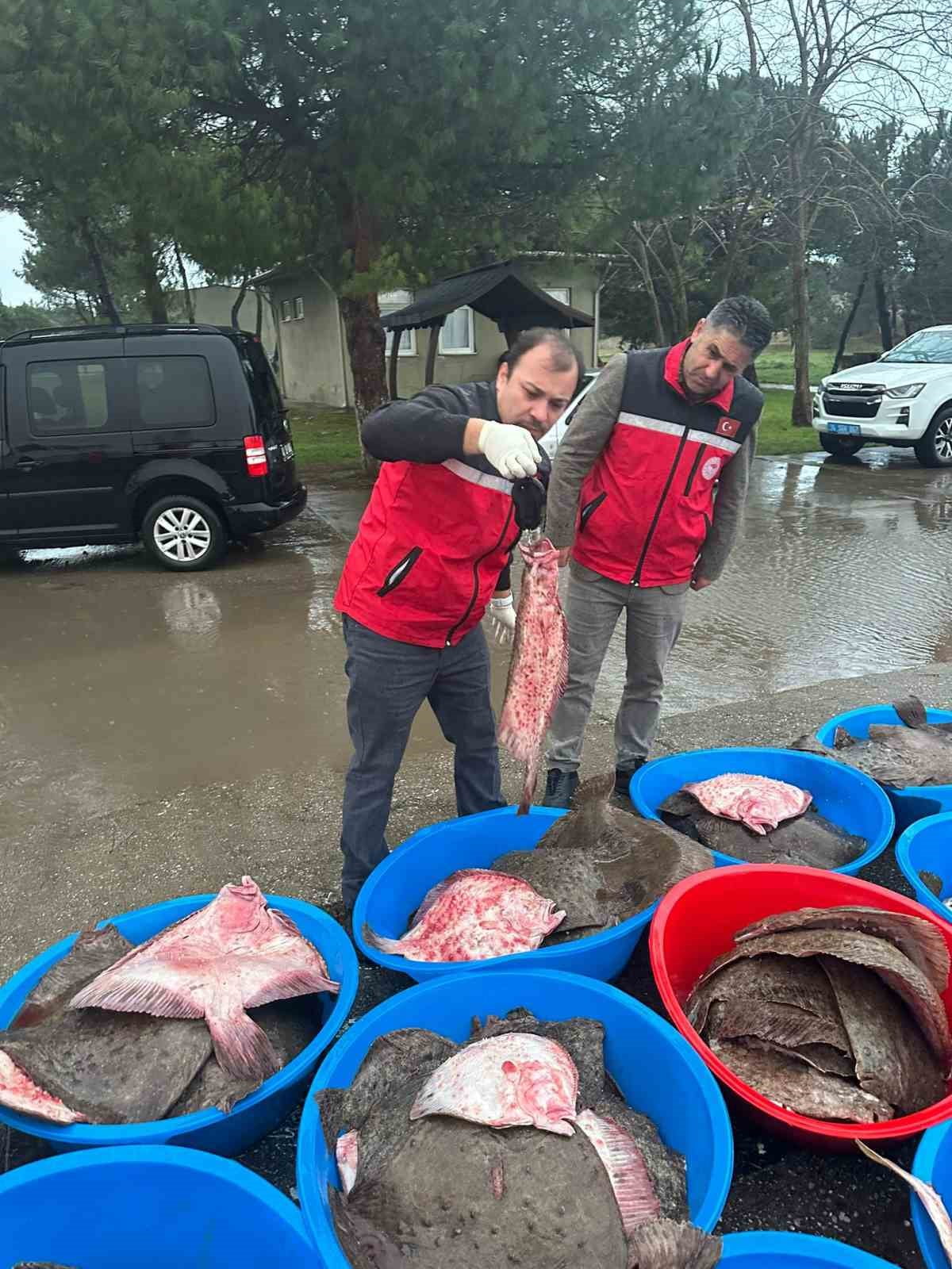 KOCAELİ'NİN KANDIRA İLÇESİNDE GERÇEKLEŞTİRİLEN DENETİMLERDE, YASA DIŞI YOLLARLA AVLANDIĞI TESPİT...