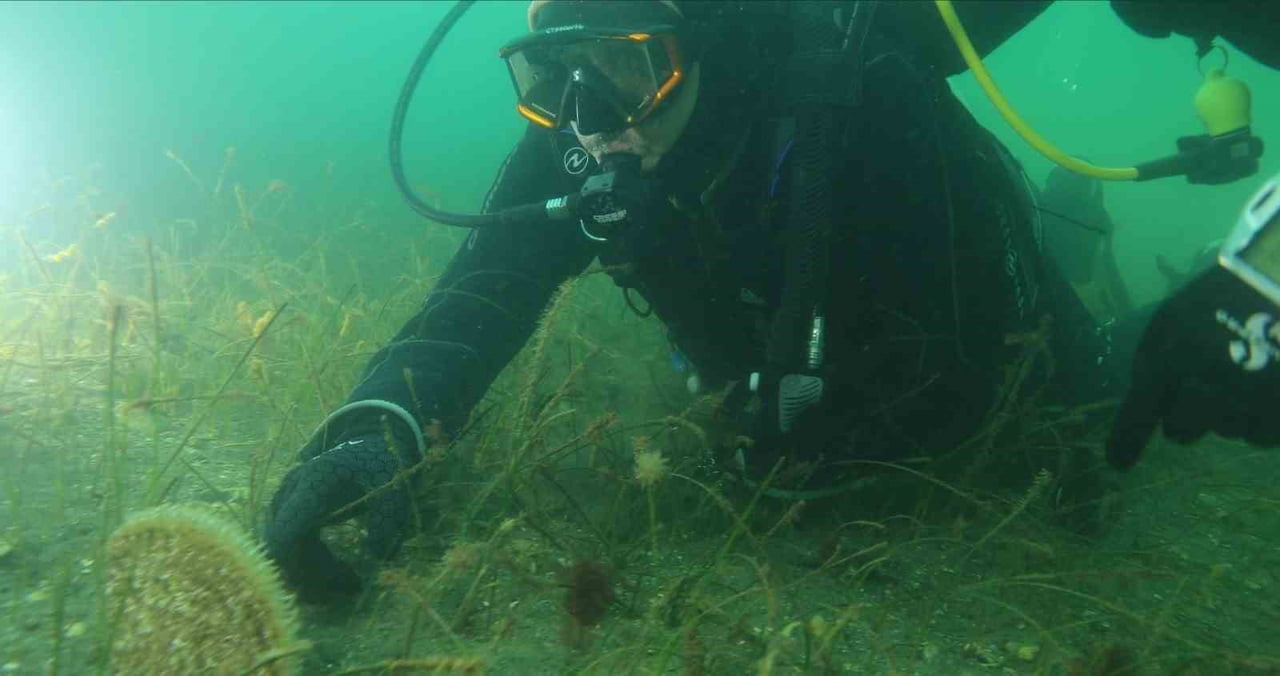 KOCAELİ BÜYÜKŞEHİR BELEDİYE BAŞKANI TAHİR BÜYÜKAKIN, İZMİT KÖRFEZİ'NDEKİ EKOSİSTEM CANLANMASINI VE...