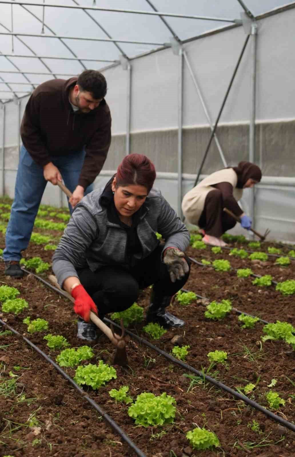 KOCAELİ’DE TARIM AKADEMİSİ İLE TARIMA YENİ BİR SOLUK GETİRİLİYOR. GENÇLER VE KADINLAR İÇİN...