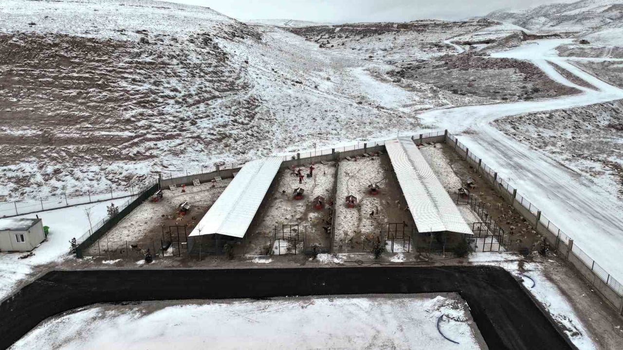 KOCASİNAN BELEDİYESİ, SOKAK HAYVANLARININ SAĞLIKLI, GÜVENLİ VE HUZURLU BİR YAŞAM SÜRMELERİNİ...