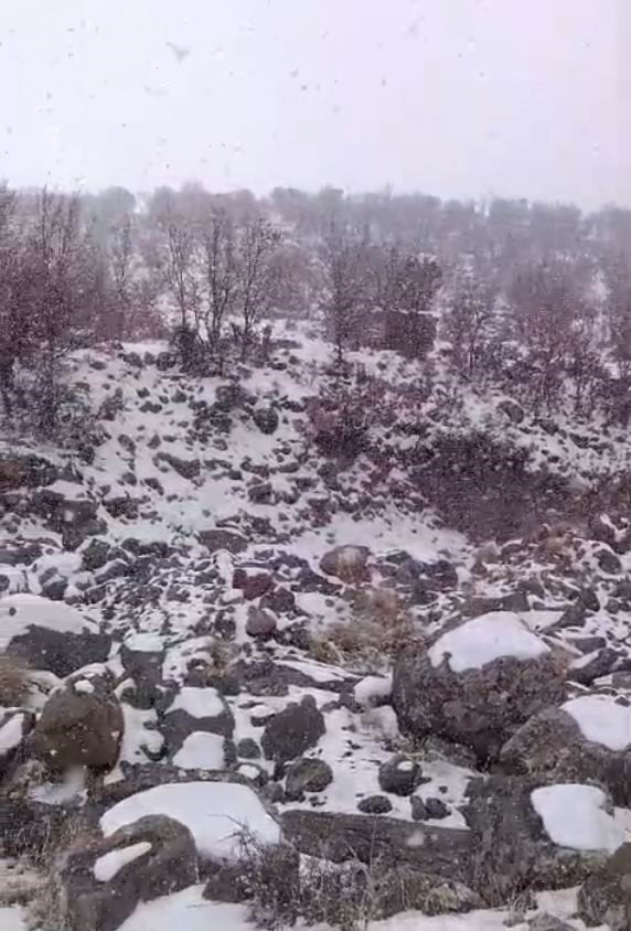 KONYA’NIN KARAPINAR İLÇESİNDE ETKİLİ OLAN KAR YAĞIŞI, KARACADAĞ BÖLGESİNDE YAŞAYAN YABAN...