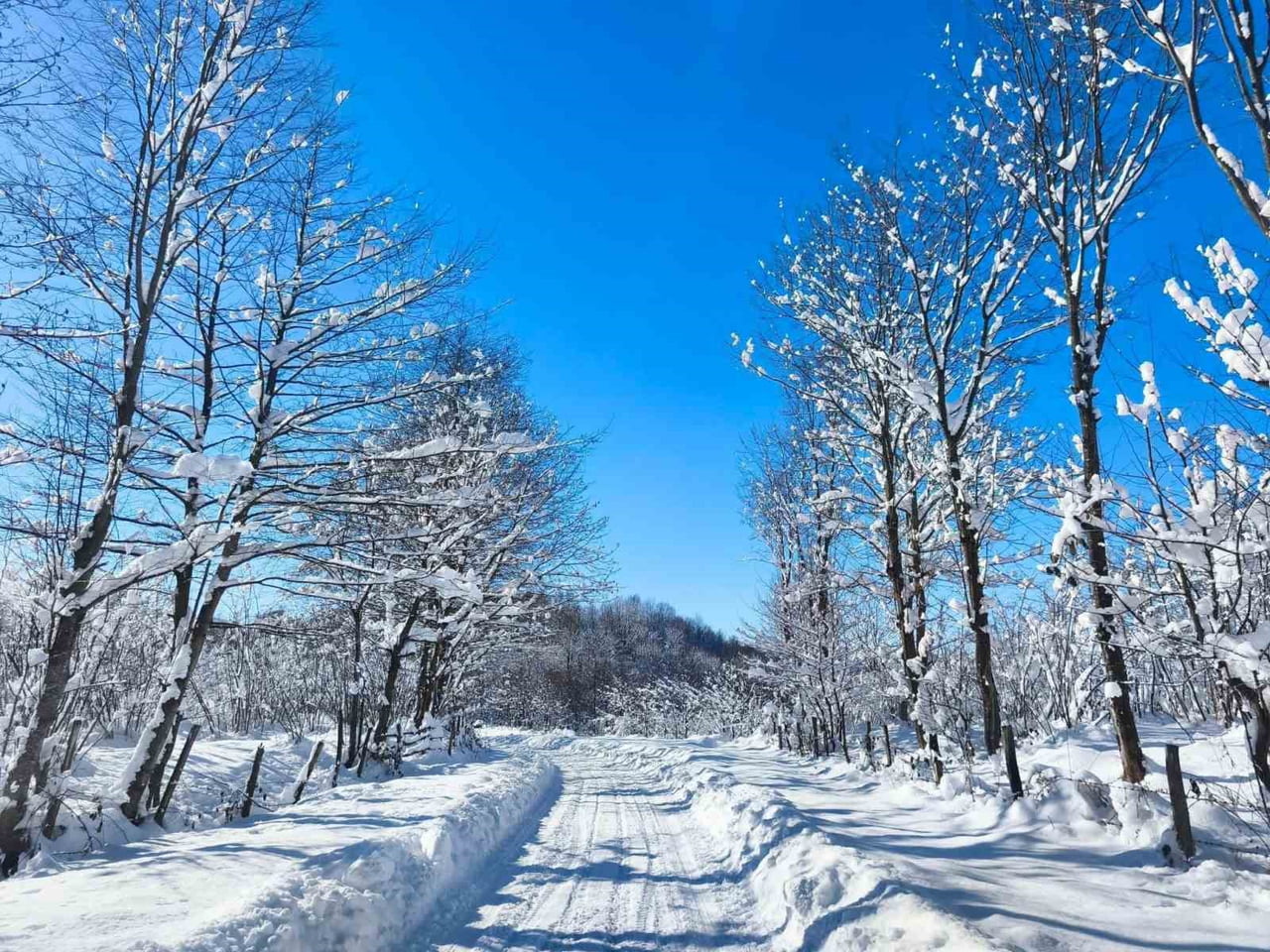 KUMRU İLÇESİNDE KAR MANZARASI