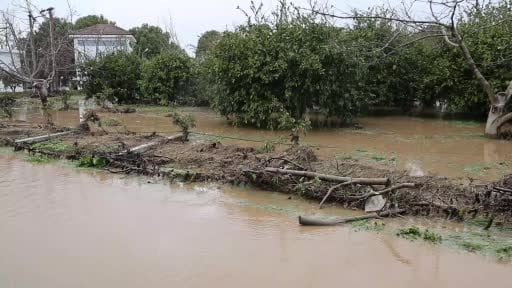 Kuşadası'nda bahçeler göle döndü, ağaçlar sular altında kaldı