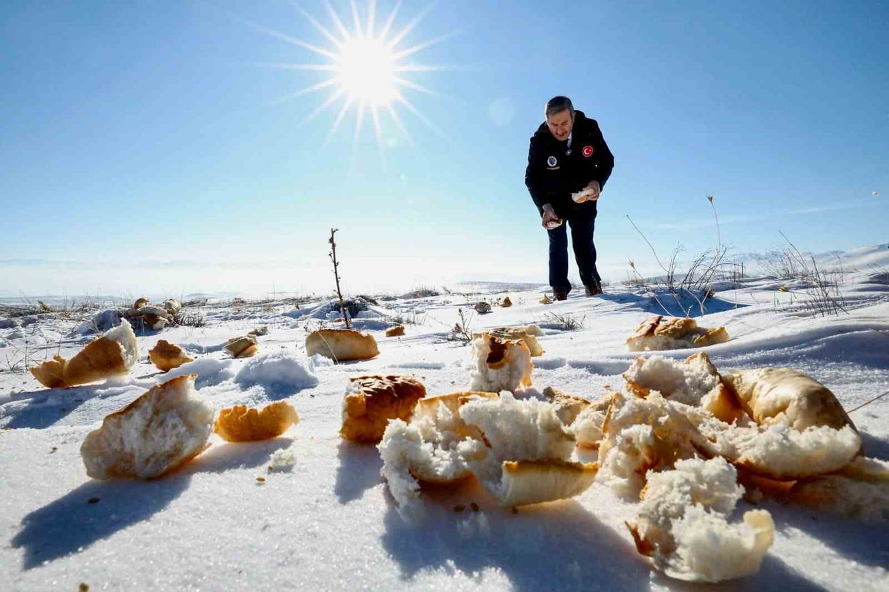 MALATYA’NIN DARENDE İLÇESİNDE ETKİLİ OLAN KAR YAĞIŞI SONRASI YABAN HAYVANLARININ BESLENMESİ İÇİN...