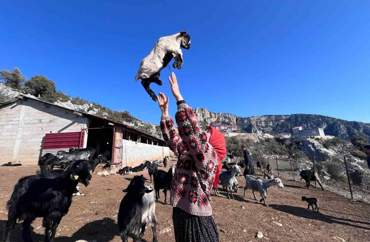 MERSİN'DE ÜNİVERSİTE EĞİTİMİNİ TAMAMLADIKTAN SONRA ŞEHİR YAŞAMINI GERİDE BIRAKARAK KÖYDEKİ...