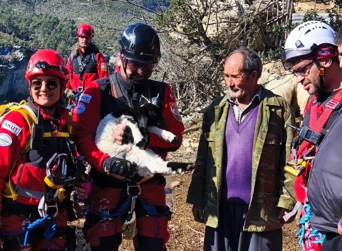 MERSİN’İN ERDEMLİ İLÇESİNDE UÇURUMA DÜŞEN KUZU KURTARMA EKİPLERİNİN ÇALIŞMASIYLA BULUNDUĞU YERDEN...