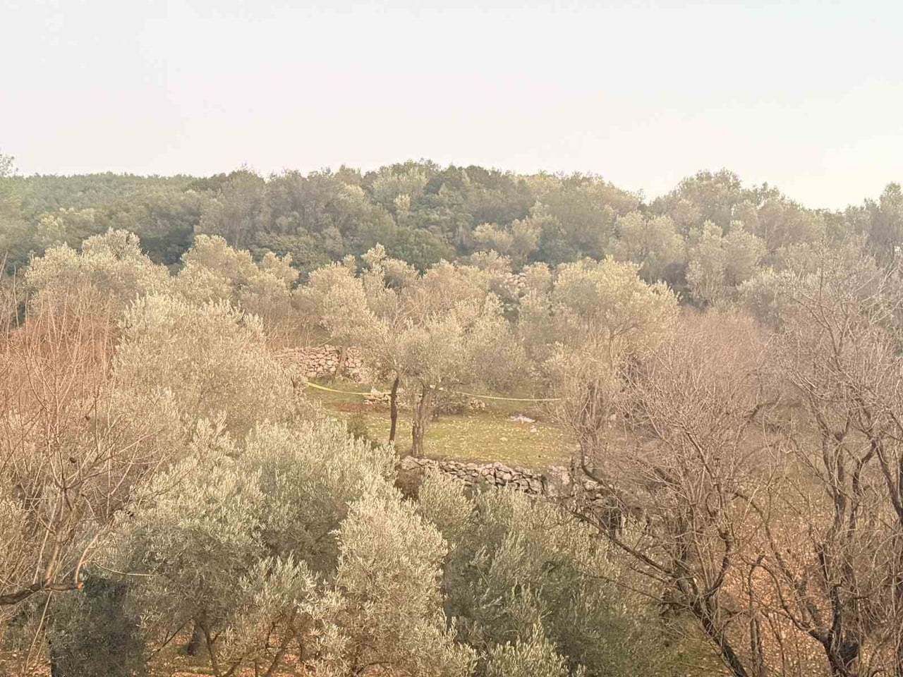 MUĞLA'NIN DATÇA İLÇESİNDE TARLADA ANİDEN RAHATSIZLANAN ŞAHIS HAYATINI KAYBETTİ.