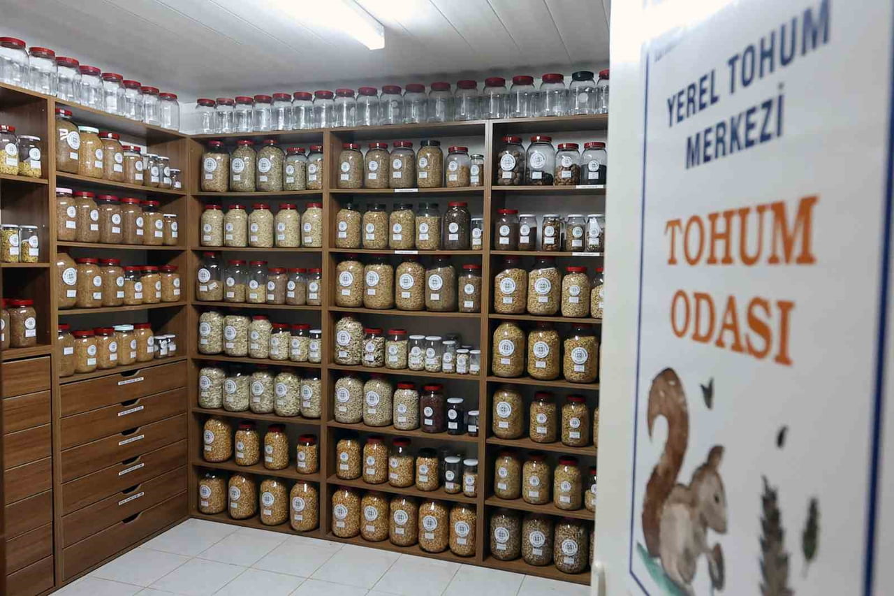 MUĞLA BÜYÜKŞEHİR 2026 YILINDA 3 MİLYON ATA TOHUMU DAĞITACAK