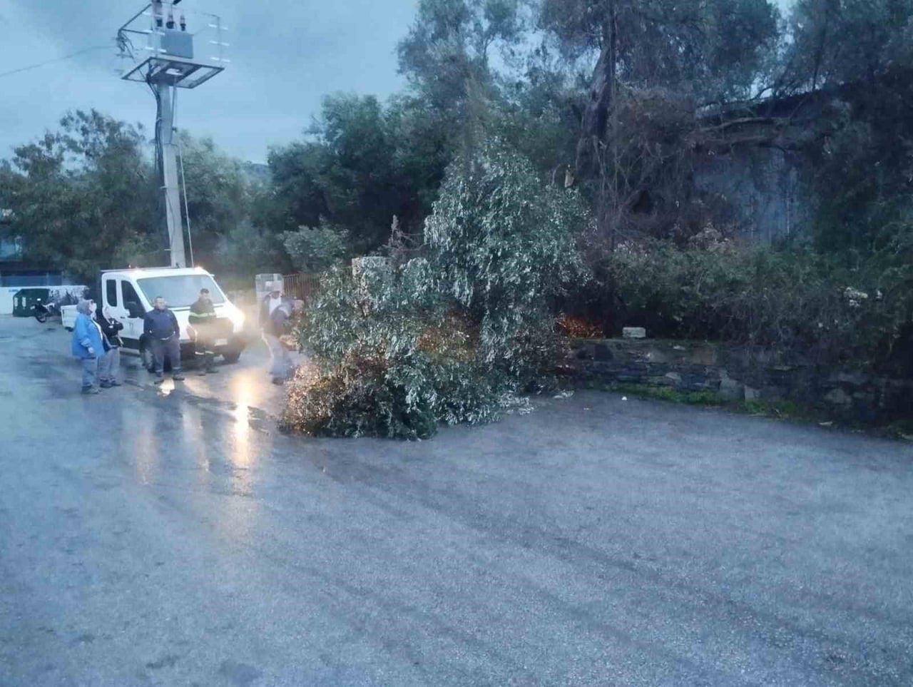 MUĞLA’NIN BODRUM İLÇESİNDE DÜNDEN BERİ ETKİLİ OLAN FIRTINA NEDENİYLE AĞAÇLAR DEVRİLDİ, TEKNELER SU...