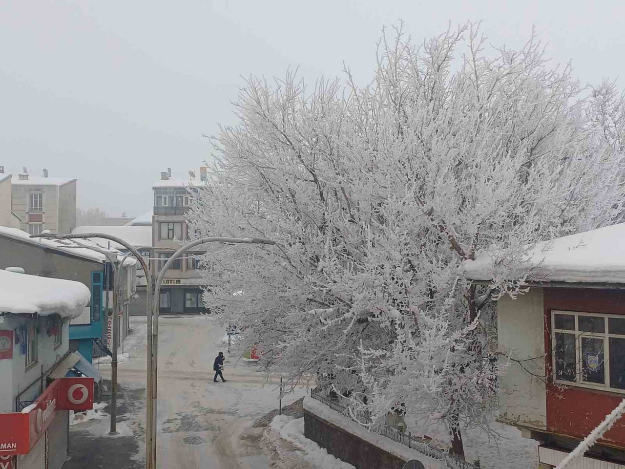 MUŞ'UN MALAZGİRT İLÇESİNDE ETKİLİ OLAN SOĞUK VE DONDURUCU HAVA, KIRAĞI MANZARALARIYLA ADETA GÖRSEL...