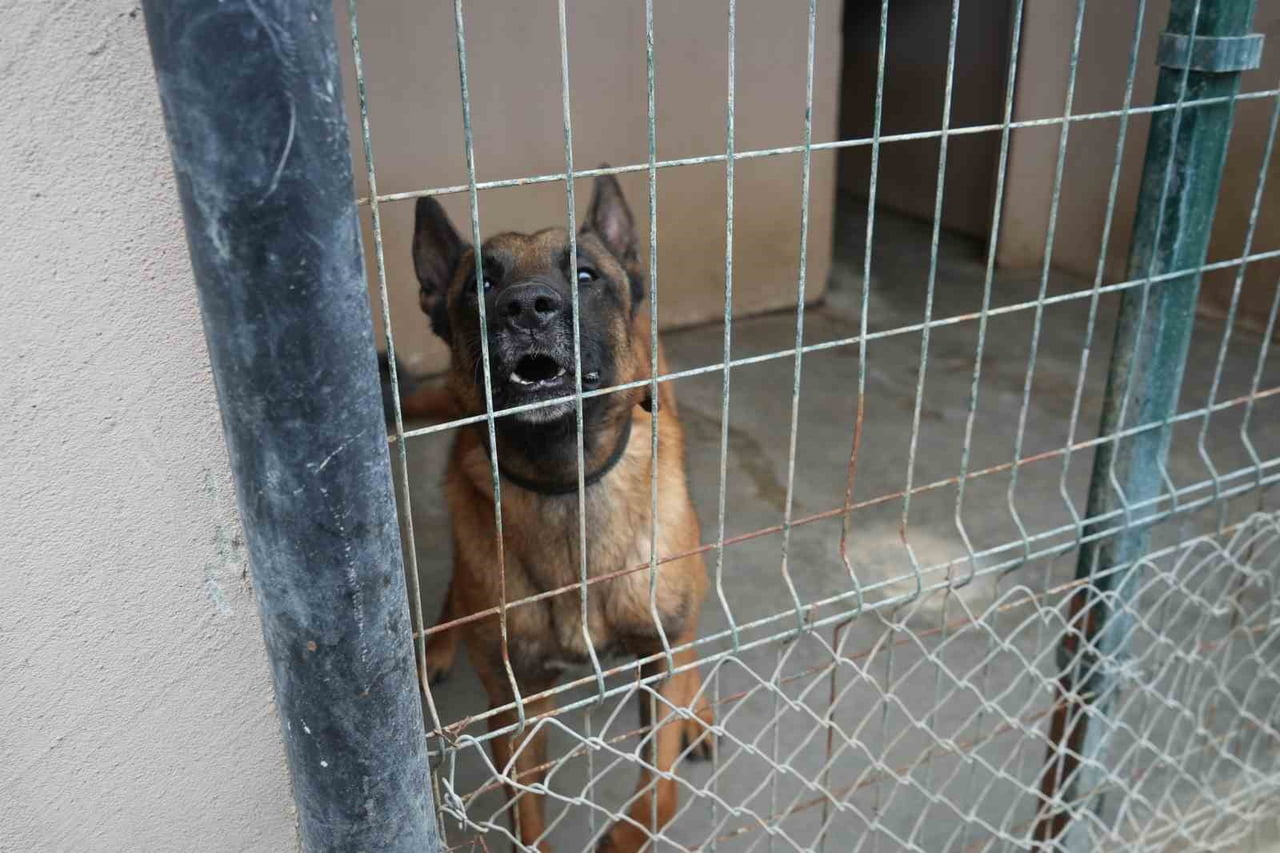 ONDOKUZ MAYIS ÜNİVERSİTESİ (OMÜ) AFET EĞİTİMİ VE YÖNETİMİ UYGULAMA VE ARAŞTIRMA MERKEZİ ARAMA...