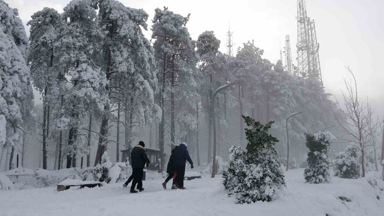 ORDU'NUN 'SEYİR TERASI' OLARAK ADLANDIRILAN VE DENİZDEN 530 METRE YÜKSEKLİKTEKİ BOZTEPE, KAR...