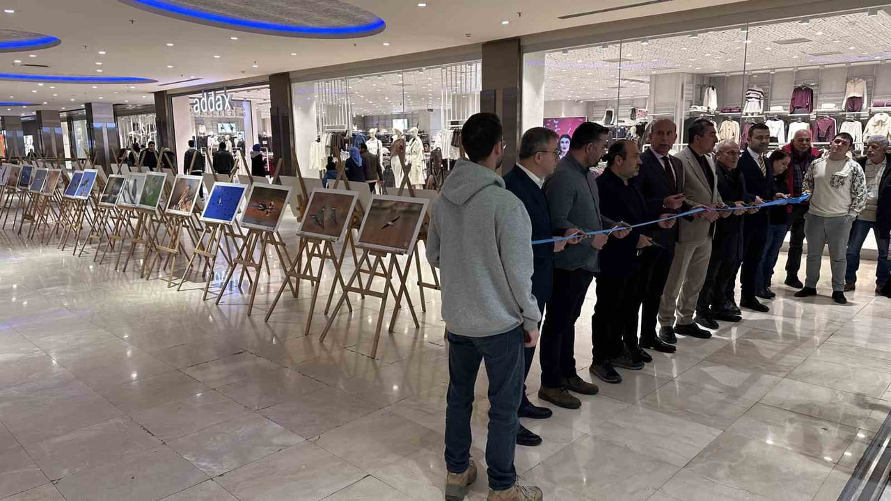 "GAZİANTEP'İN KUŞLARI" SERGİSİ AÇILDI