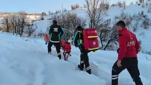 Sağlık ekipleri jandarma eşliğinde 1,5 kilometrelik yolu yürüyerek hastaya ulaştı