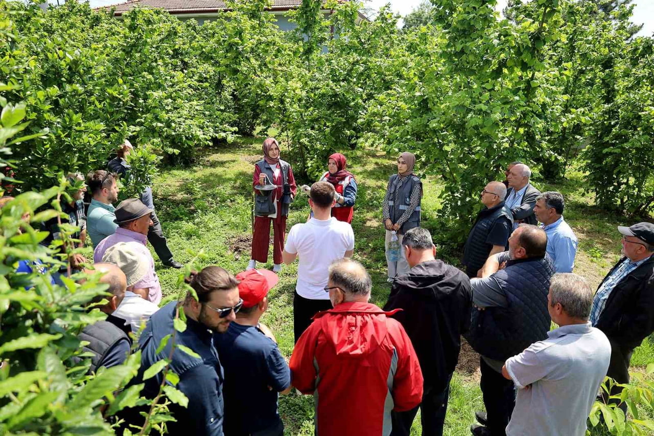 SAKARYA BÜYÜKŞEHİR BELEDİYESİ TARIMSAL HİZMETLER DAİRESİ BAŞKANLIĞI, 2025 YILINDA YÜRÜTÜLEN...