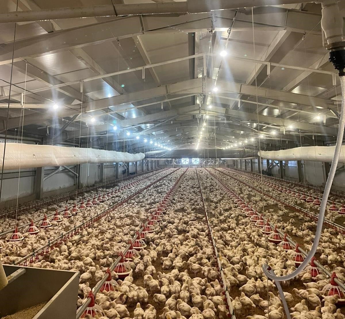 SAMSUN’DA KIRSAL KALKINMA YATIRIMLARININ DESTEKLENMESİ PROGRAMI (KKYDP) KAPSAMINDA 2025 YILINDA...