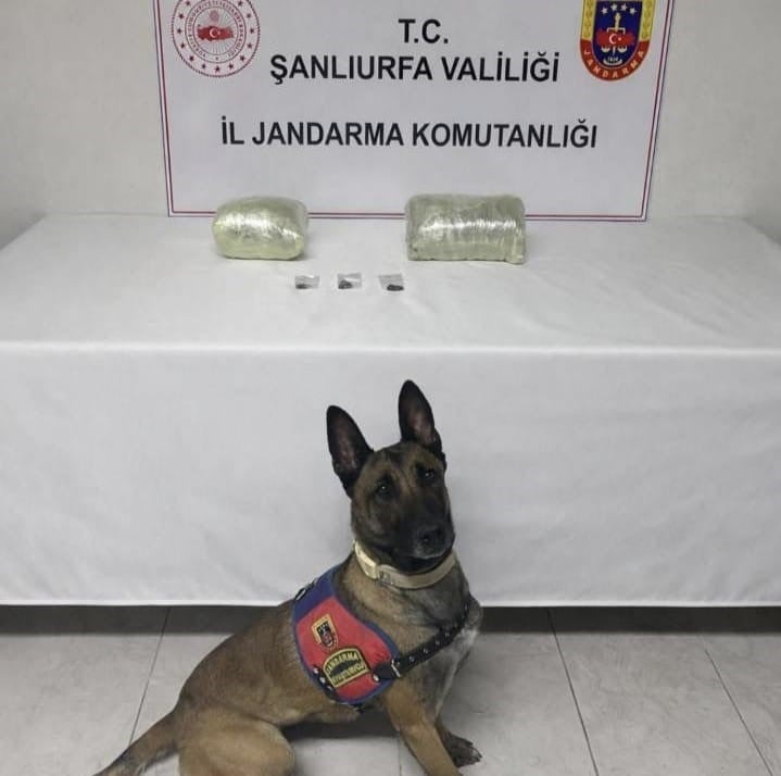 ŞANLIURFA’DA UYUŞTURUCU OPERASYONU: 1 GÖZALTI