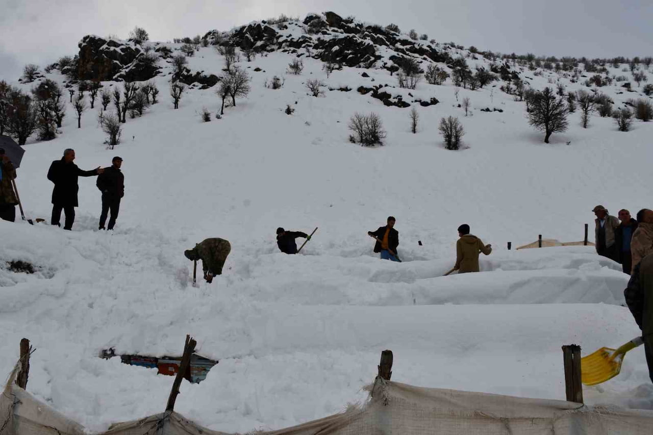 ŞIRNAK'IN BEYTÜŞŞEBAP İLÇESİNDE ÇIĞ ALTINDA KALAN BAL ARILARI, SAHİBİ VE KÖYLÜLER TARAFINDAN...