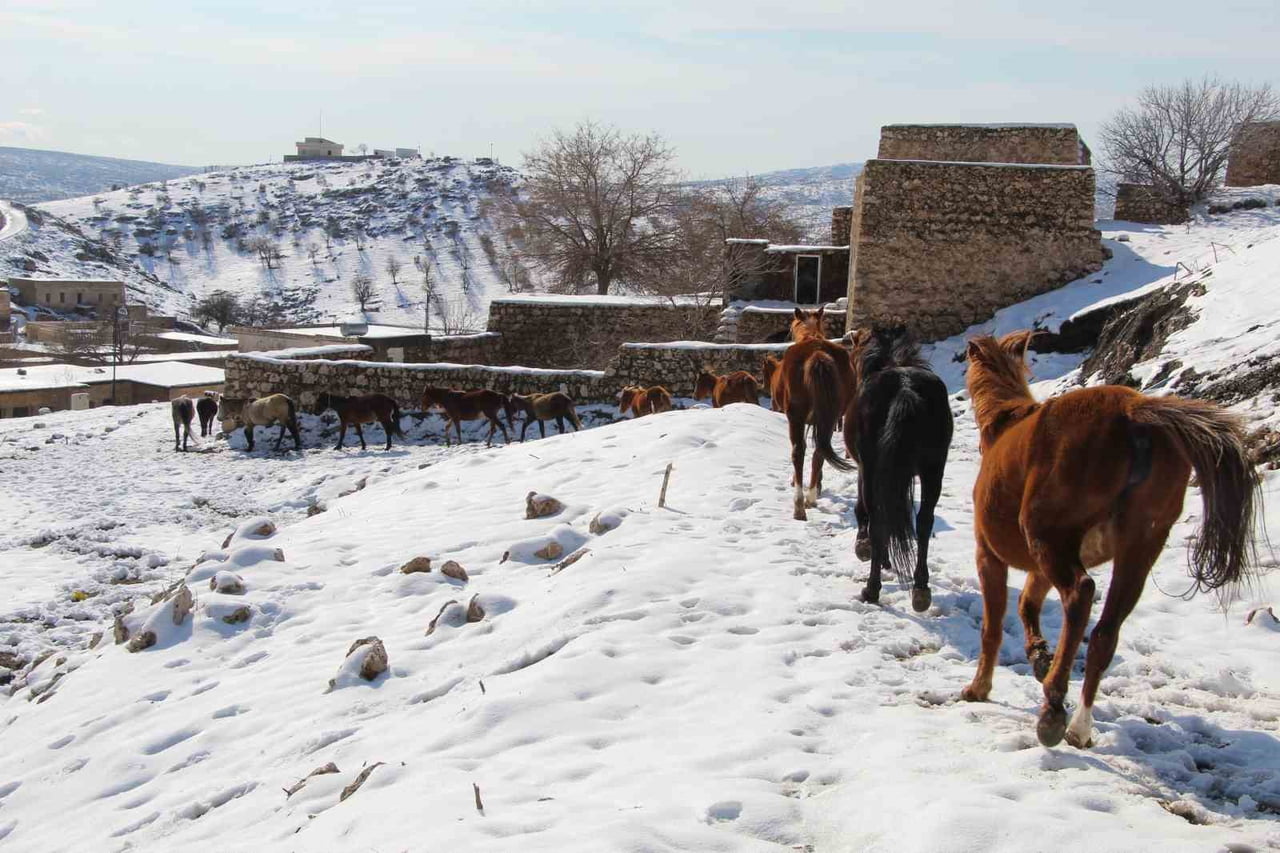 ŞIRNAK'IN İDİL İLÇESİNE BAĞLI GABAR DAĞI ETEKLERİNDE BULUNAN MAĞARA KÖYÜNDEKİ TARİHİ VARLIKLARININ...