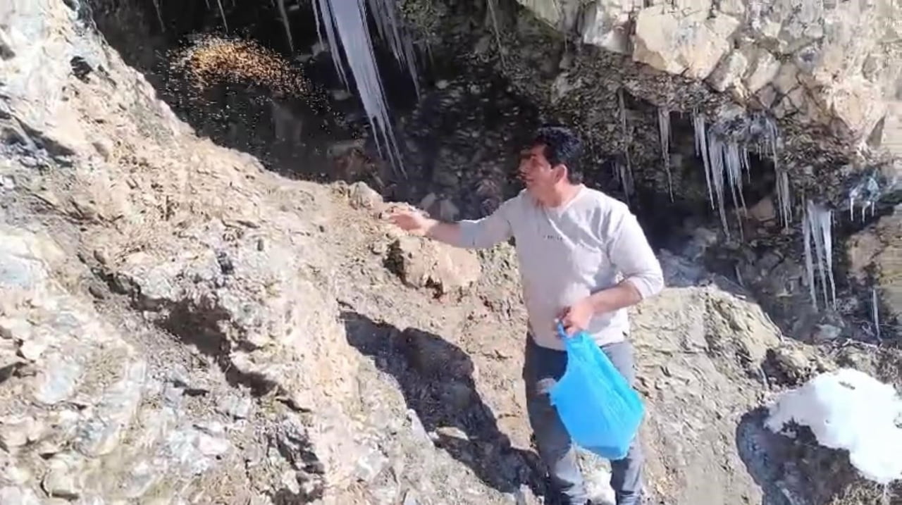 ŞIRNAK’TA AÇ KALAN KEKLİKLER İÇİN DOĞAYA YEM BIRAKTILAR. GÖNÜLLÜ VATANDAŞLAR MAĞARA VE KAYALIK...