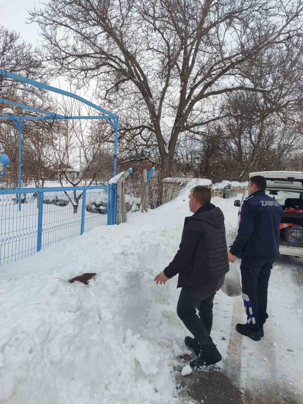 SOĞUK HAVALARIN ETKİSİNİ ARTIRDIĞI BU GÜNLERDE BÜNYAN BELEDİYESİ, SOKAK HAYVANLARINI...